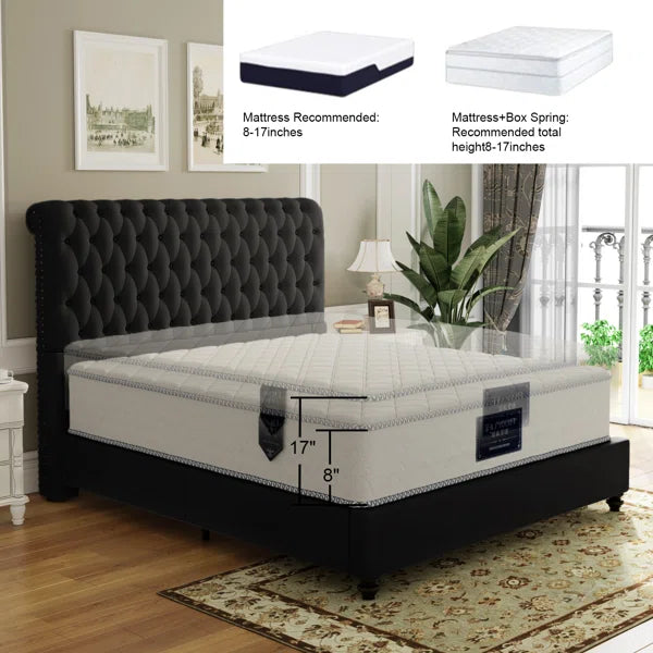 Divan Bed: Arcadio Upholstered Bed