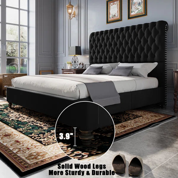Divan Bed: Arcadio Upholstered Bed