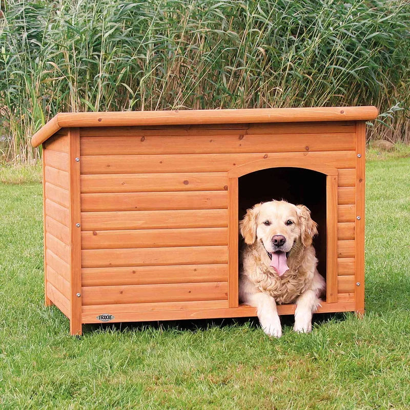 Dog House: Wooden Dog Kennel