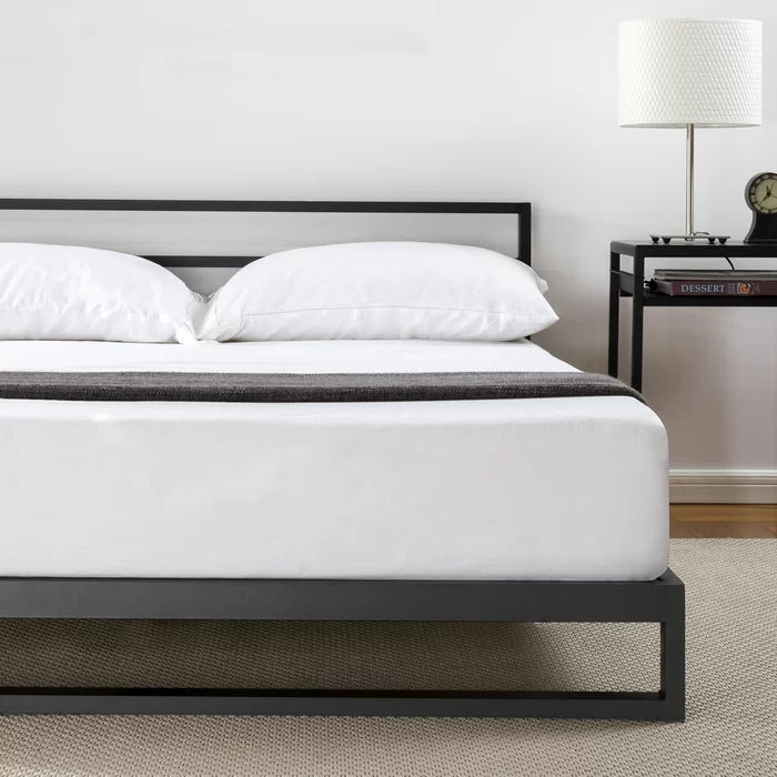 Hydraulic Bed: Sarethya Bed