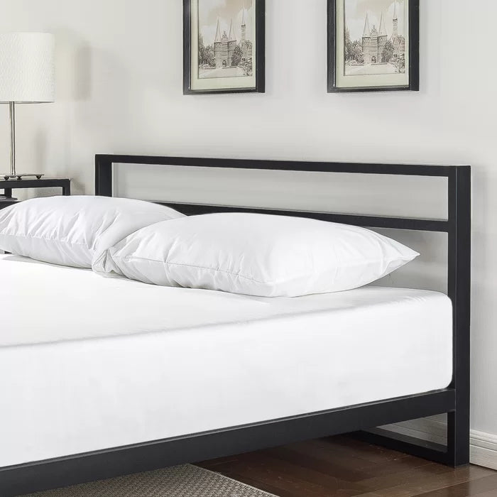 Hydraulic Bed: Sarethya Bed