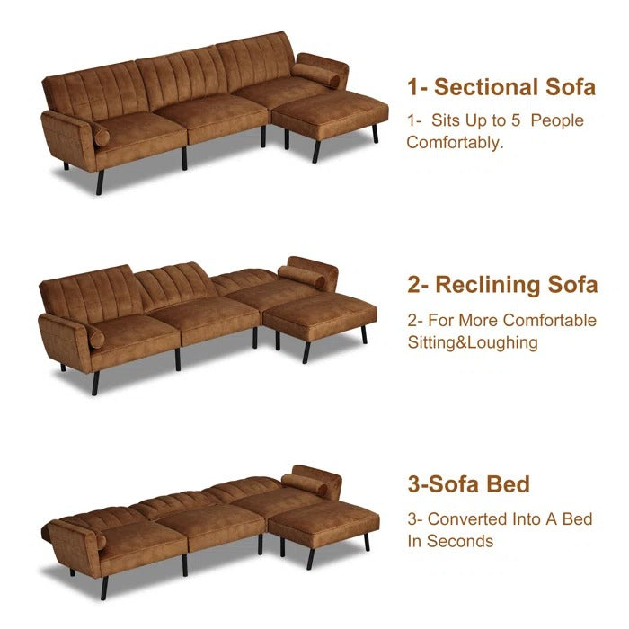 Sofa Cum Bed: Contemporary glam Sofa Cum Bed