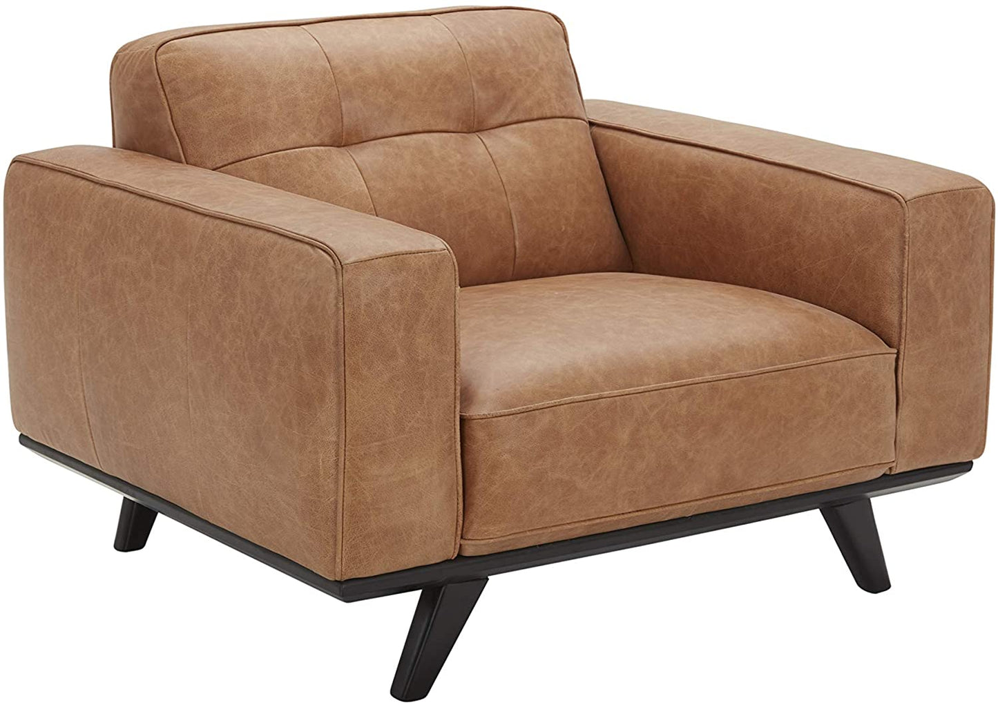 Sofa Chair : Modern Chair with Wood Base