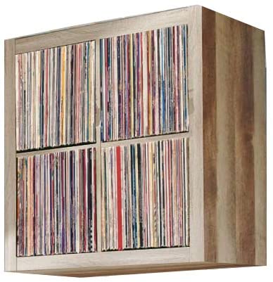 Bookshelf: 4 Cube Square Organizer Bookcase