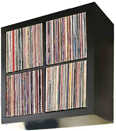 Bookshelf: 4 Cube Square Organizer Bookcase