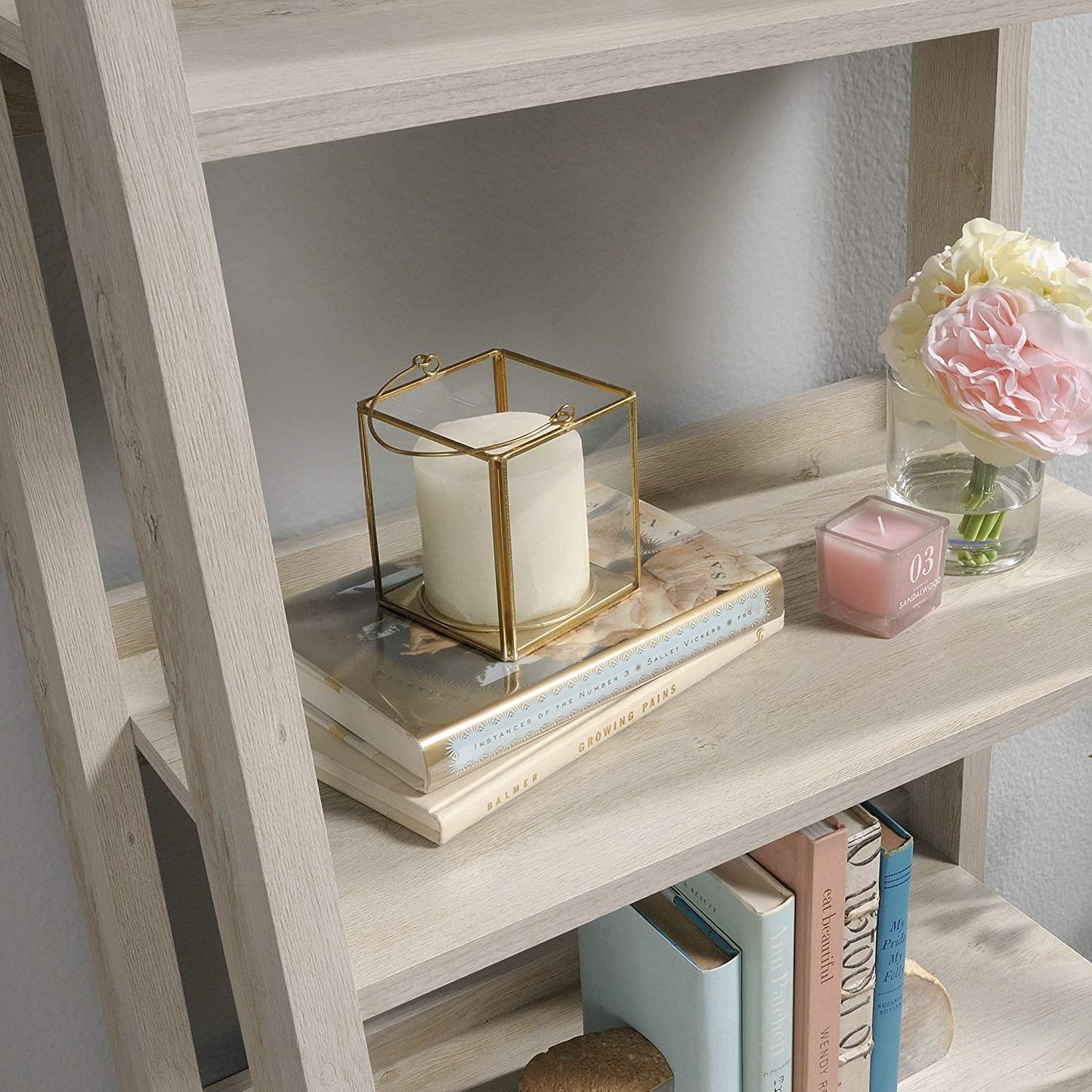 Bookshelf: Ladder Shaped 5-Shelf Bookcase