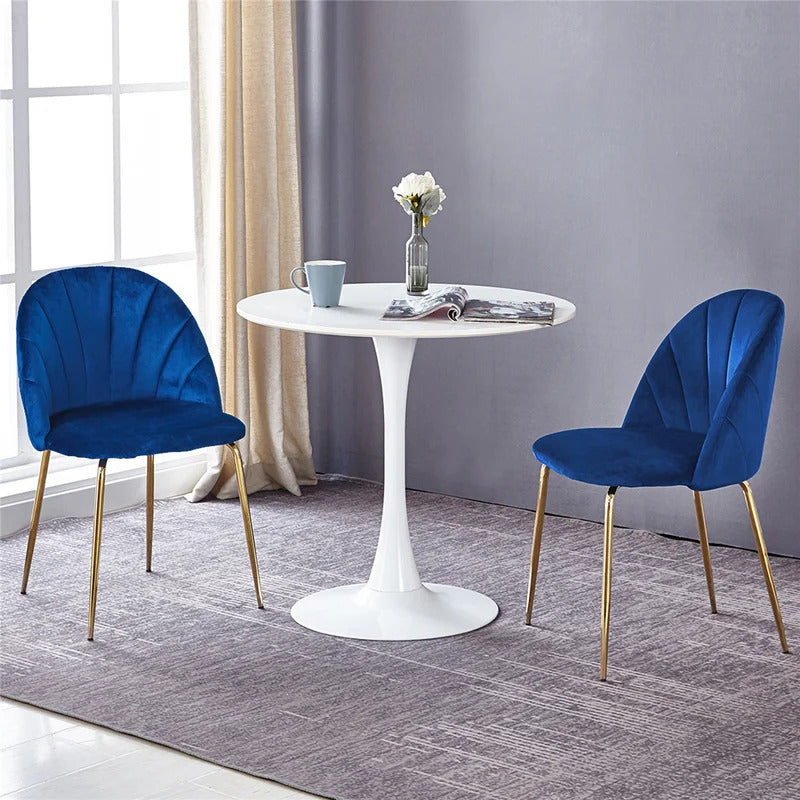 Cafe Chair: Velvet Restaurant Chair (Set of 2)