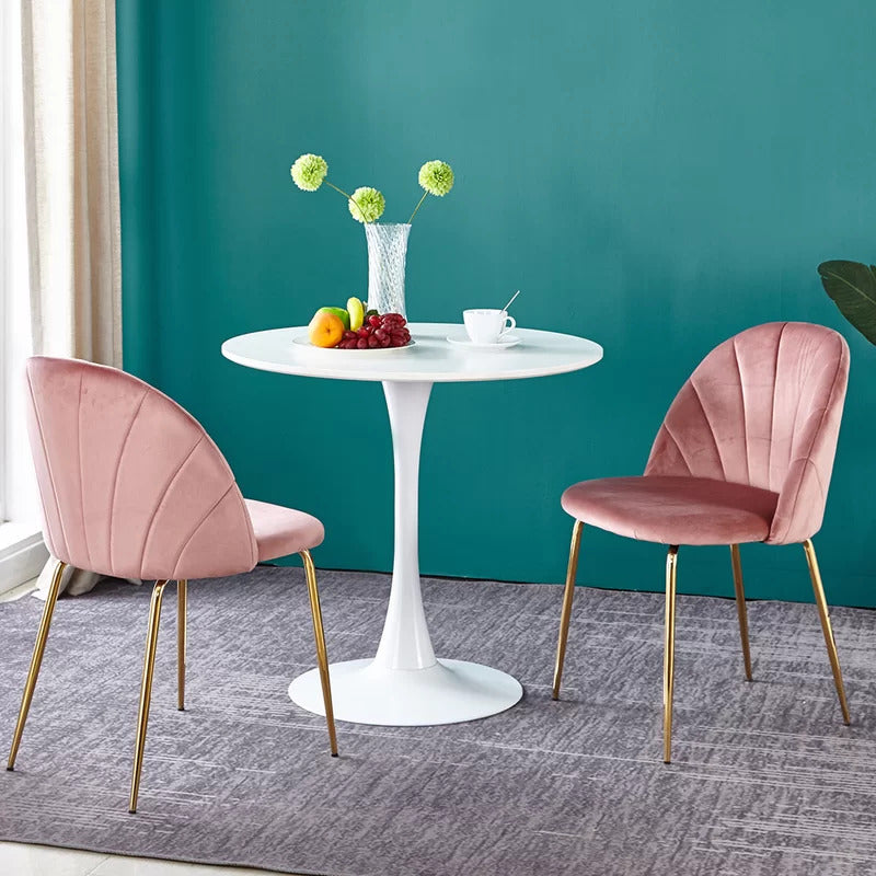 Cafe Chair: Velvet Restaurant Chair (Set of 2)