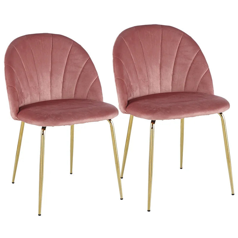 Cafe Chair: Velvet Restaurant Chair (Set of 2)