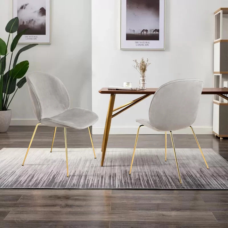 Cafe Chair: Velvet Restaurant Chair (Set of 2)