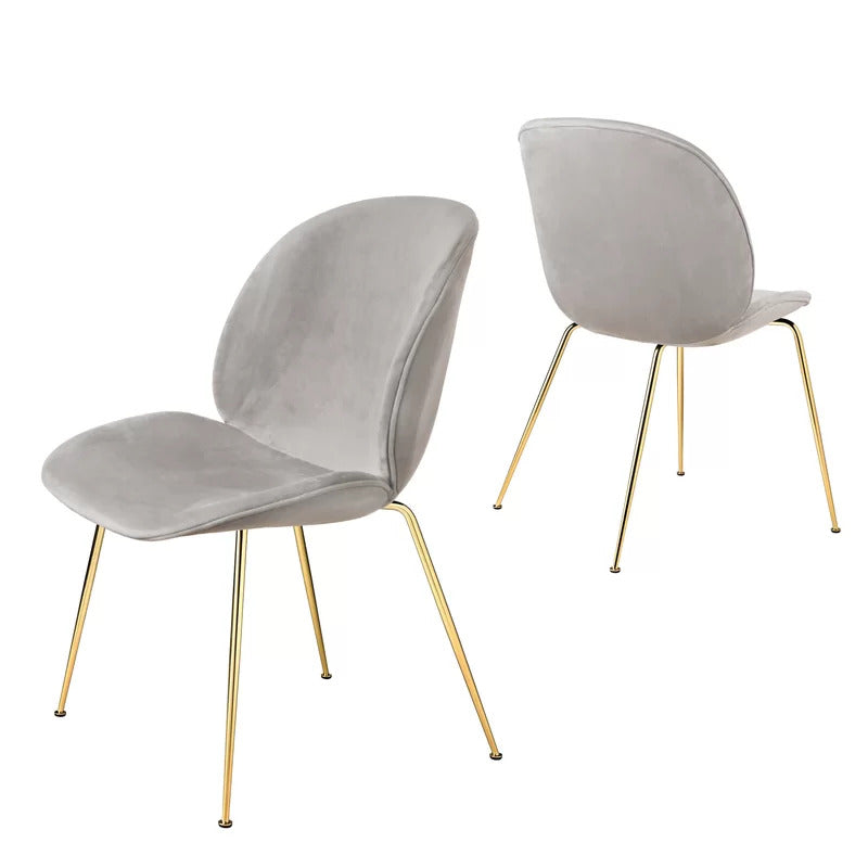 Cafe Chair: Velvet Restaurant Chair (Set of 2)