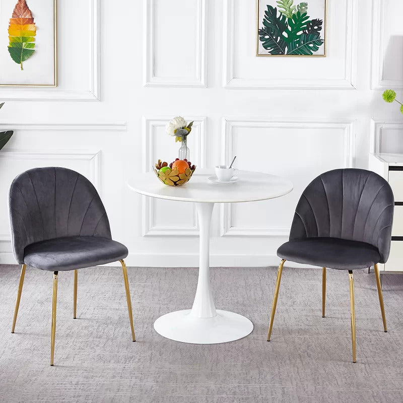 Cafe Chair: Velvet Restaurant Chair (Set of 2)