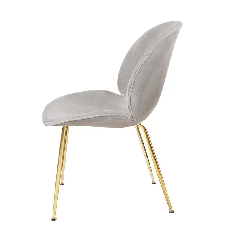 Cafe Chair: Velvet Restaurant Chair (Set of 2)