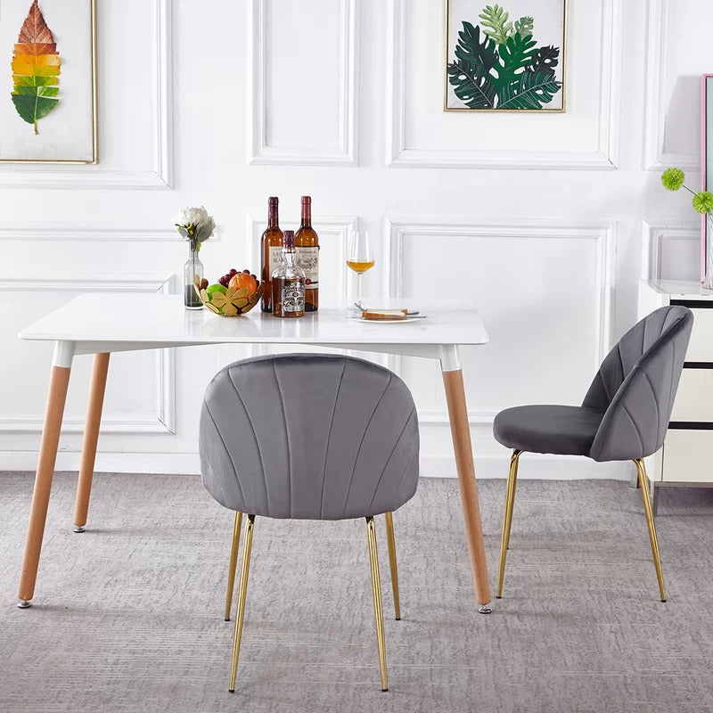 Cafe Chair: Velvet Restaurant Chair (Set of 2)
