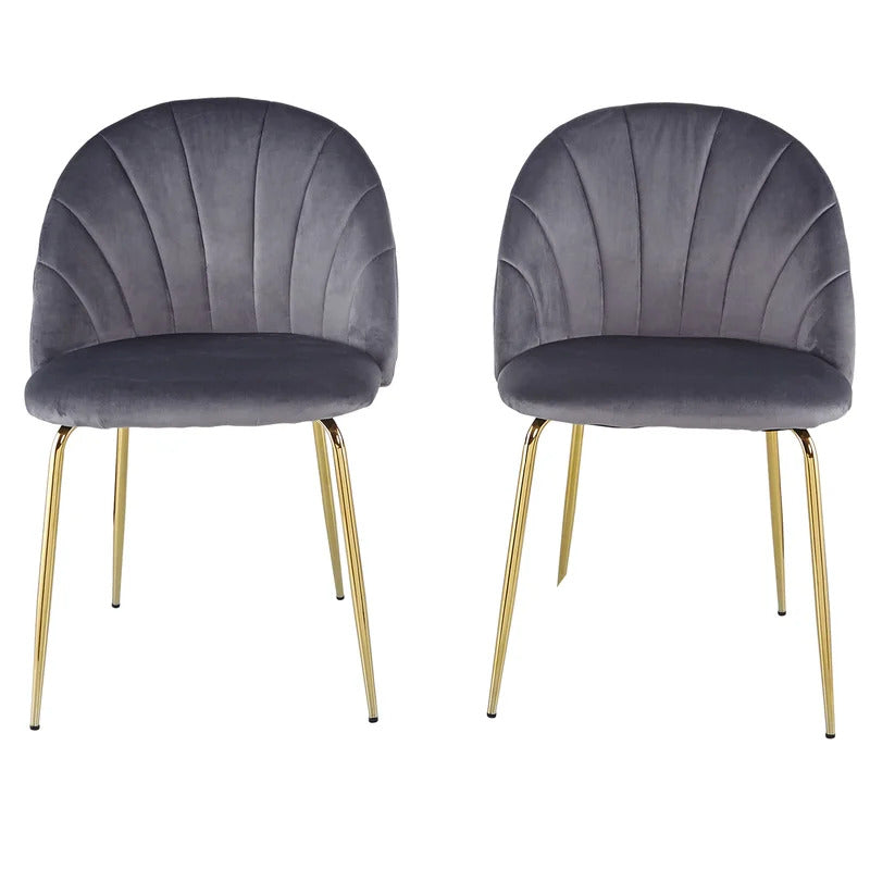 Cafe Chair: Velvet Restaurant Chair (Set of 2)