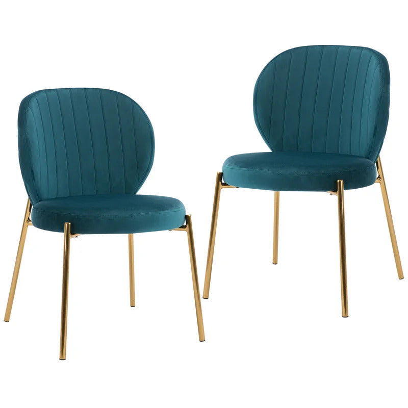 Cafe Chair: Velvet Upholstered Side, Restaurant Chair (Set of 2)