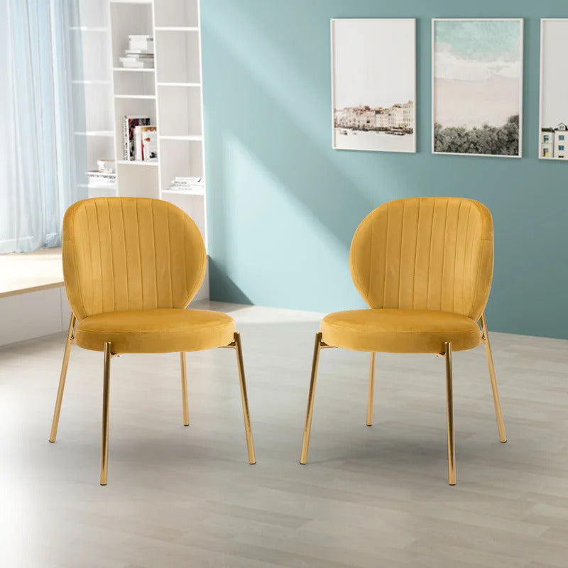 Cafe Chair: Velvet Upholstered Side, Restaurant Chair (Set of 2)