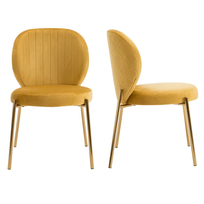 Cafe Chair: Velvet Upholstered Side, Restaurant Chair (Set of 2)