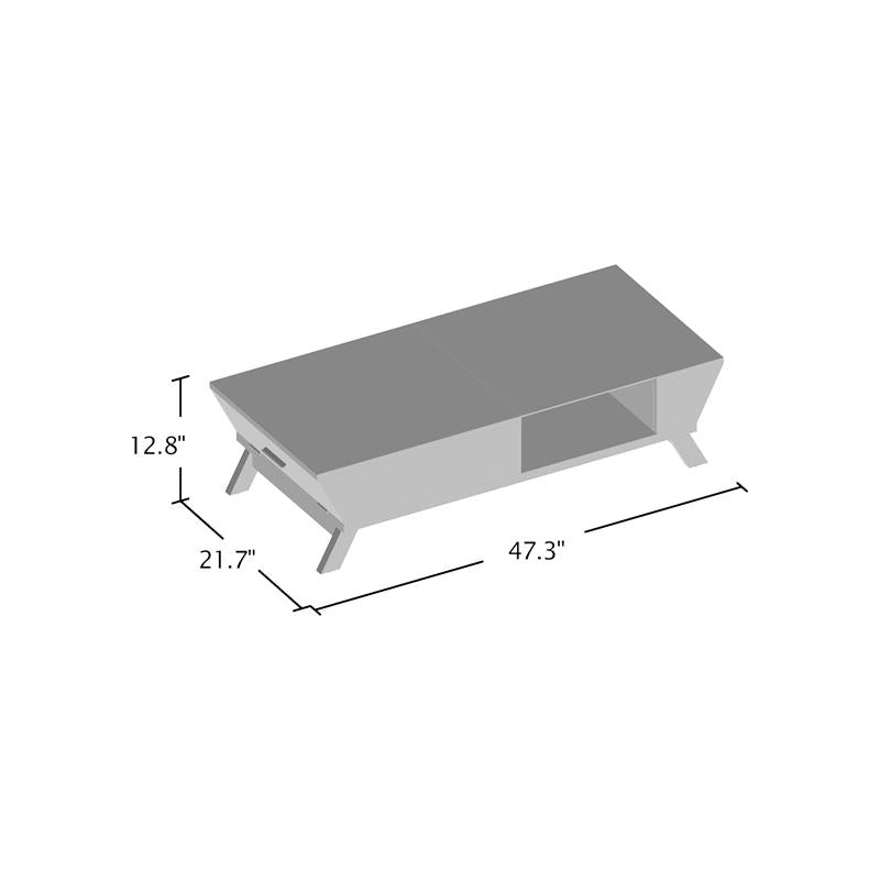 Center Table: 4 Legs Coffee Table with Storage