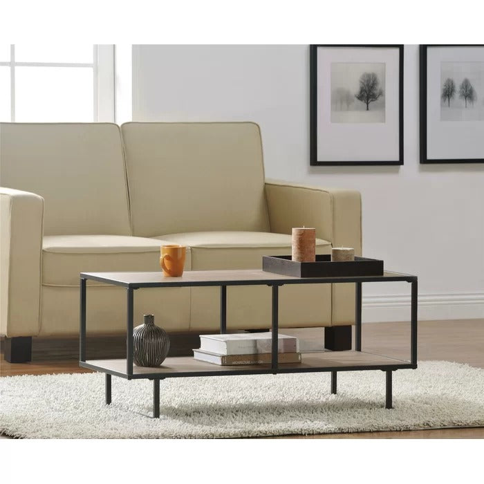 Center Table: Coffee Table with Storage