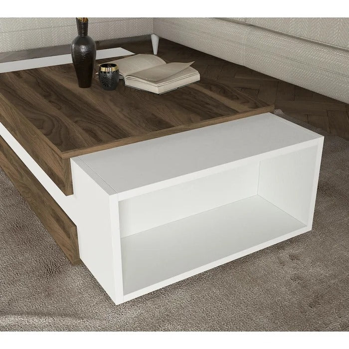 Center Table: Floor Shelf Coffee Table with Storage
