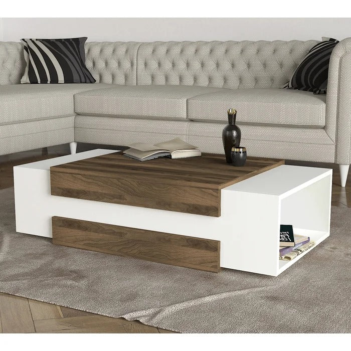 Center Table: Floor Shelf Coffee Table with Storage