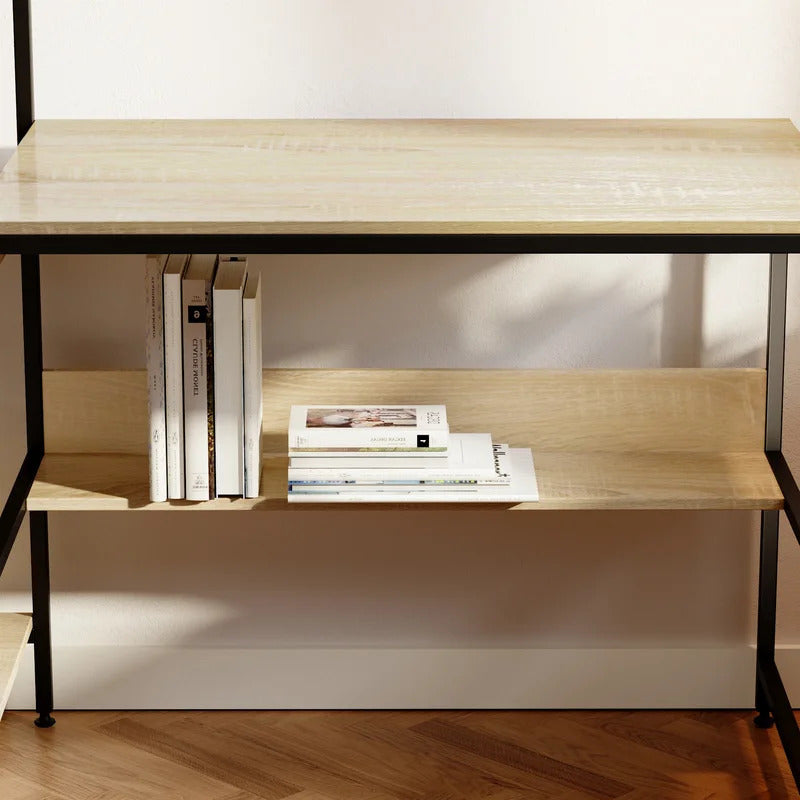 Computer Desk : DINO Desk