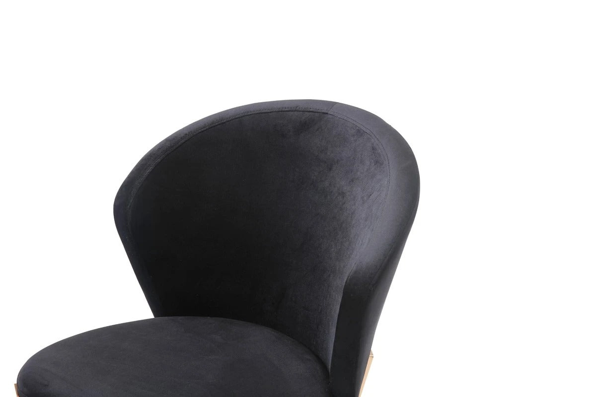 Dining Chair DEN Modern Dining Chair (Set of 2)