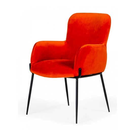 Dining Chair FIG Dining Chair