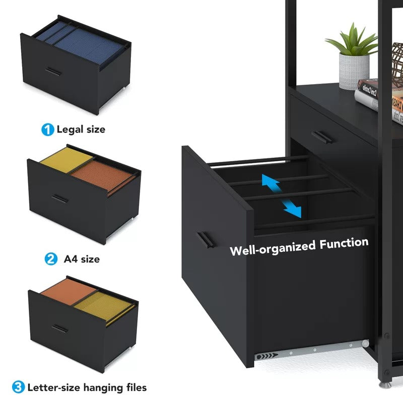 File Cabinet : 23.6'' Wide 2 -Drawer Vertical Filing Cabinet
