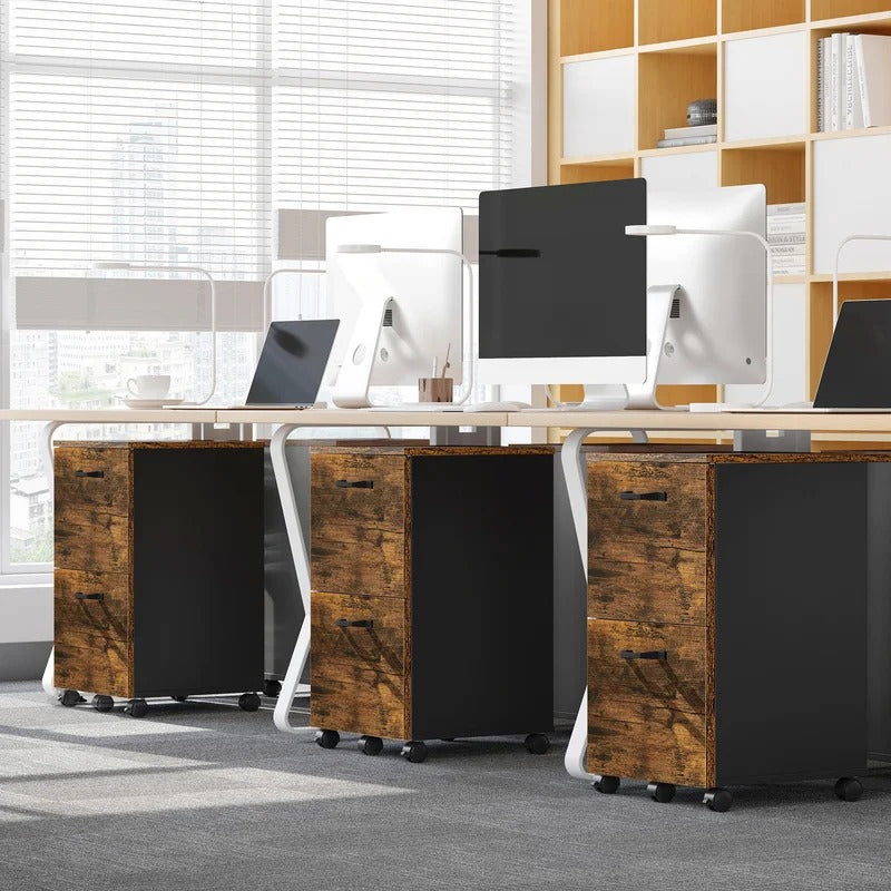 Filing Cabinet : Cam 2-Drawer Mobile Vertical File Cabinet