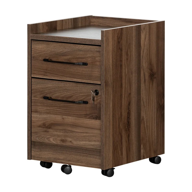 Filing Cabinet : 15.5'' Wide 2 -Drawer Mobile Vertical File Cabinet