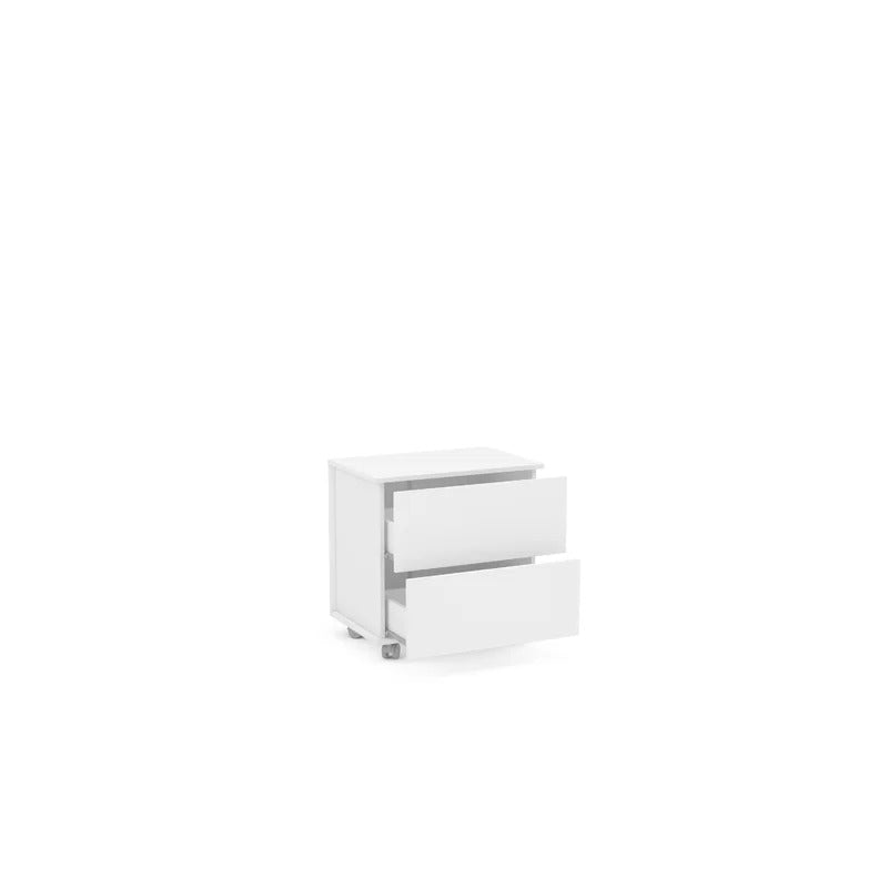 Filing Cabinet : 23.62'' Wide 2 -Drawer Mobile Lateral File Cabinet