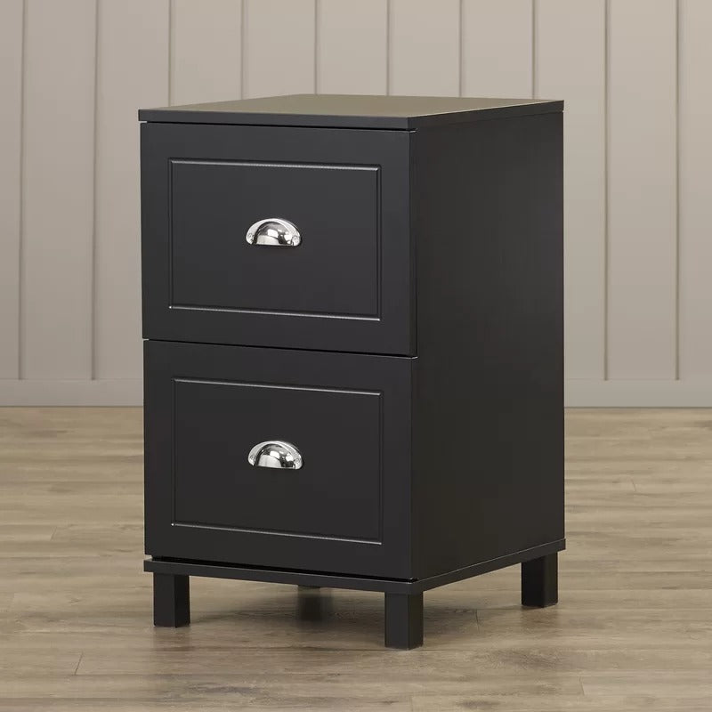 Filing Cabinet : CAM 2-Drawer Vertical File Cabinet