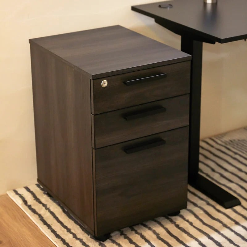 Filing Cabinet : Carry 3-Drawer Mobile Vertical File Cabinet
