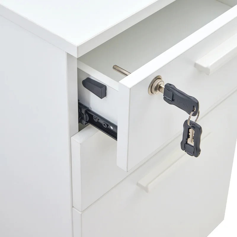 Filing Cabinet : Carry 3-Drawer Mobile Vertical File Cabinet