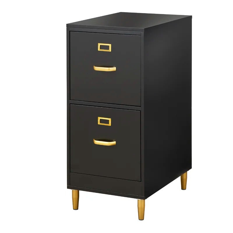 File Cabinets : DAN 2-Drawer Vertical Filing Cabinet