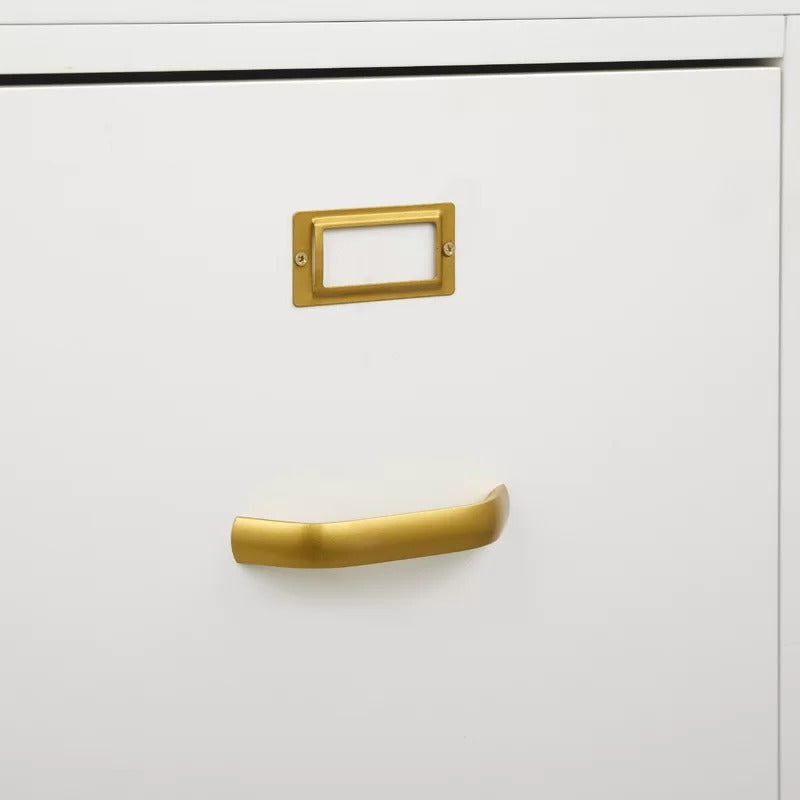 File Cabinets : DAN 2-Drawer Vertical Filing Cabinet