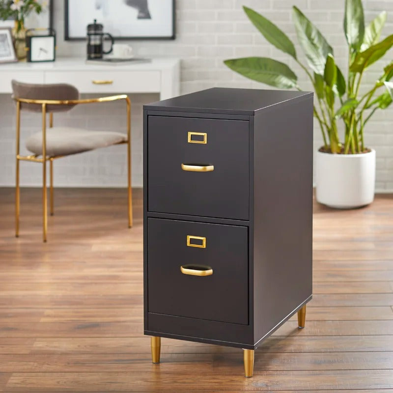 File Cabinets : DAN 2-Drawer Vertical Filing Cabinet