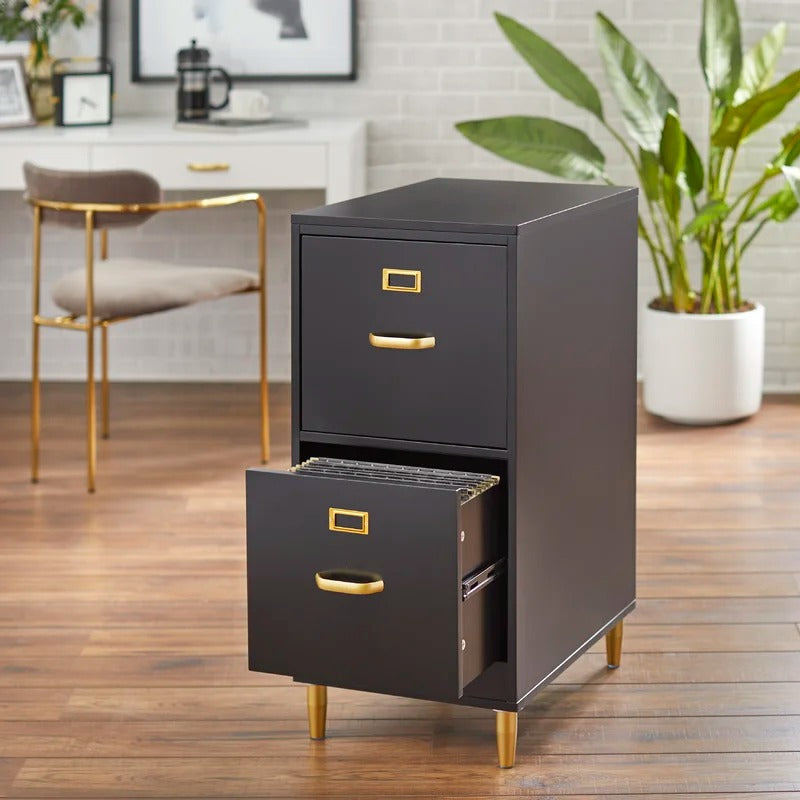 File Cabinets : DAN 2-Drawer Vertical Filing Cabinet