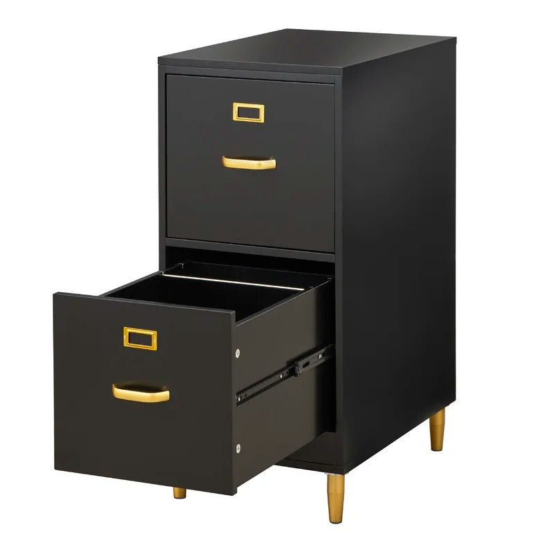 File Cabinets : DAN 2-Drawer Vertical Filing Cabinet