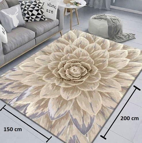 Carpets: Flower Printed Floor Mats Anti-Skid Washable Carpet