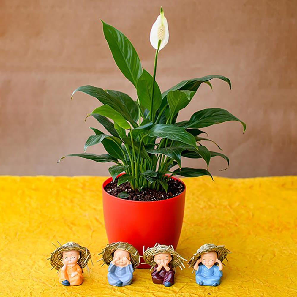 peace lily home decor Home decor : Pleasing Peace Lily with Cute Monks – Studio GKW