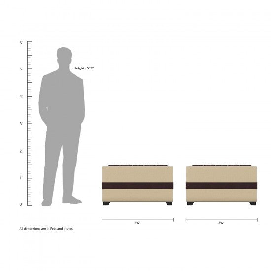 L Shape Sofa Set:- Angel Fabric Sofa Set 2 Puffy (Brown & Cream)