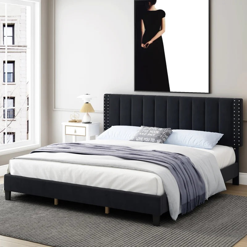 Modular Bed : Eva Tufted Upholstered Platform Bed