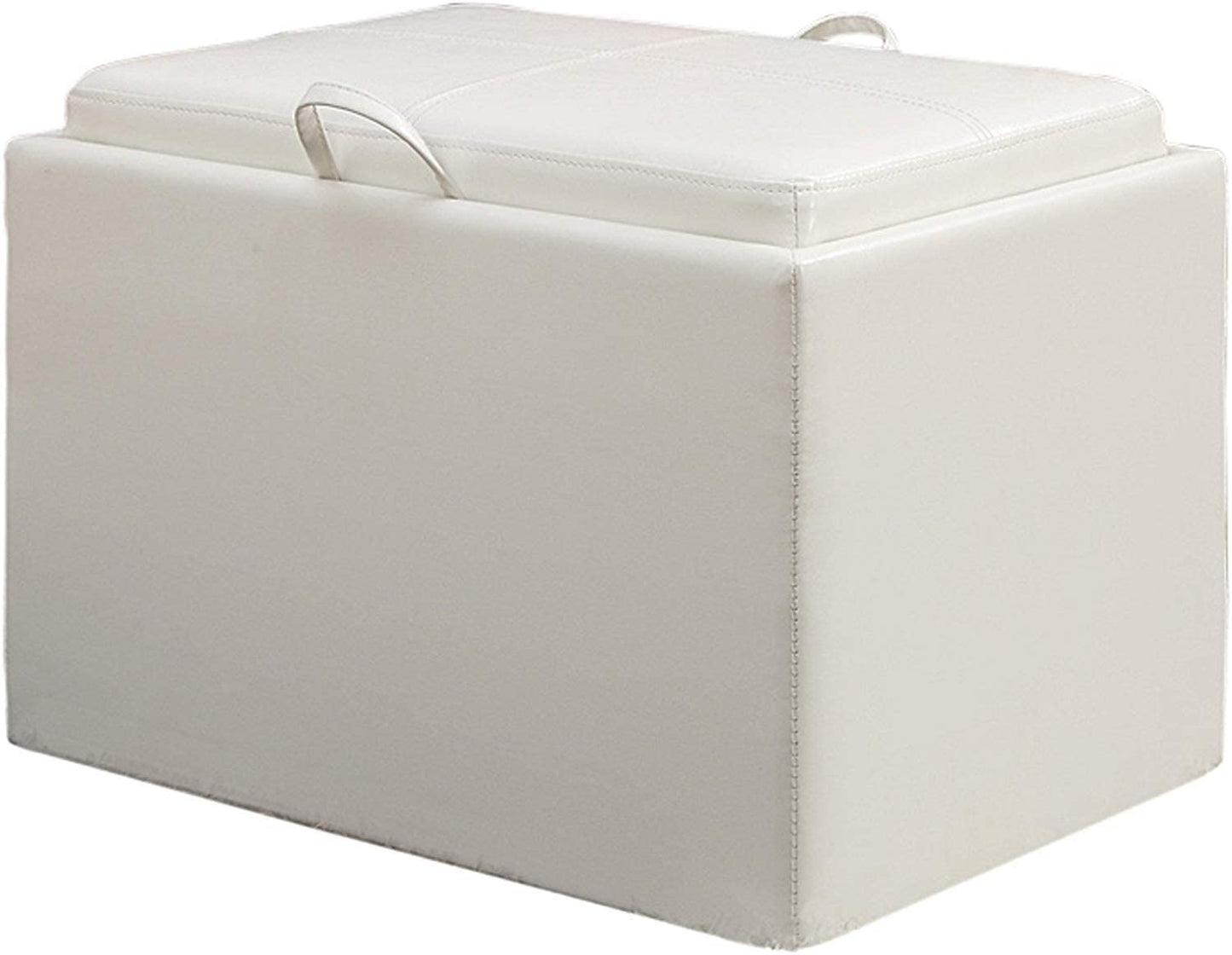 Ottomans : Designs for Comfort Accent Storage Ottoman