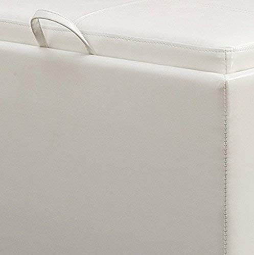 Ottomans : Designs for Comfort Accent Storage Ottoman