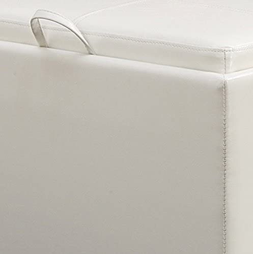 Ottomans : Designs for Comfort Accent Storage Ottoman