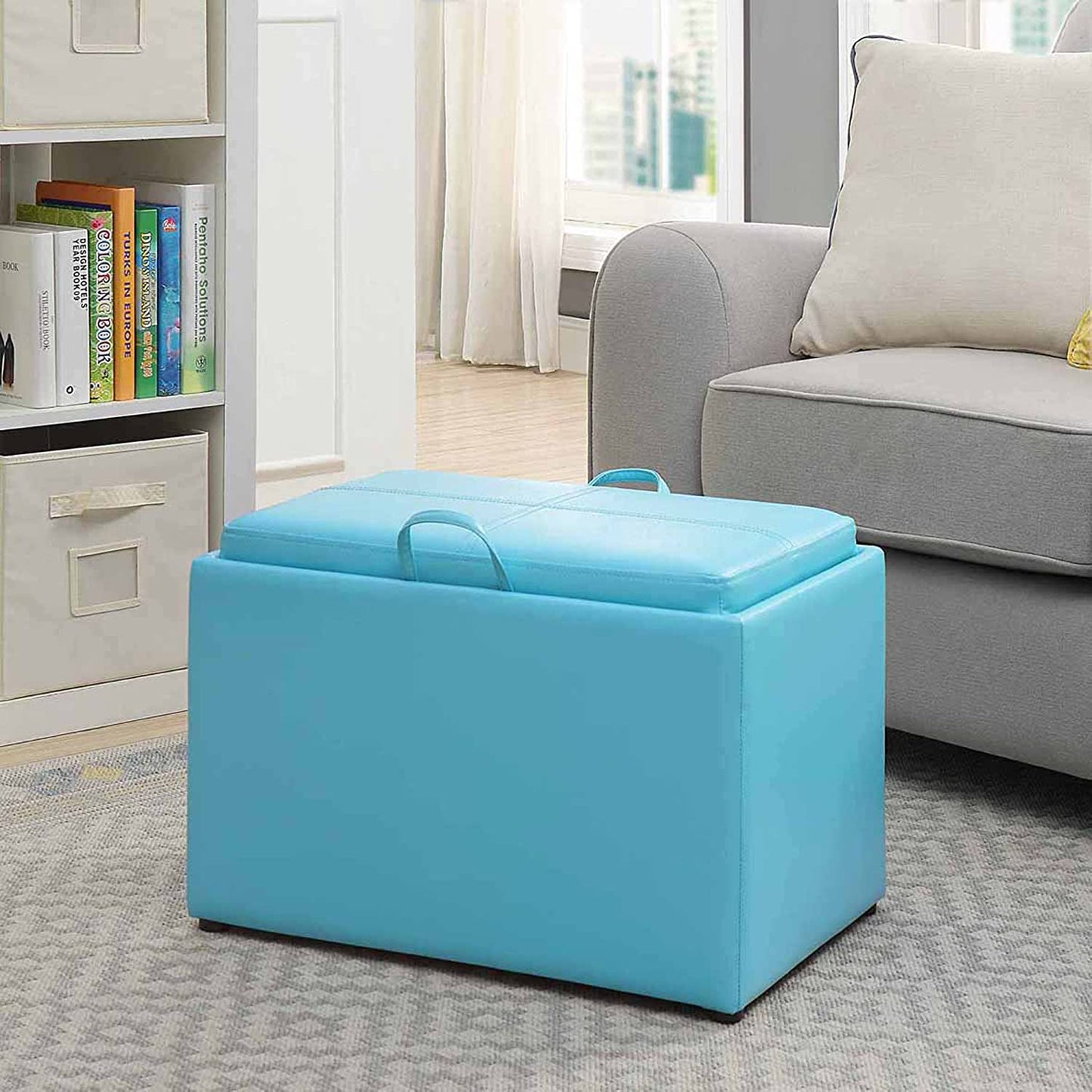 Ottomans : Designs for Comfort Accent Storage Ottoman