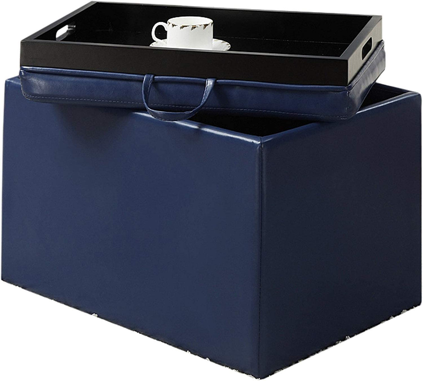 Ottomans : Designs for Comfort Accent Storage Ottoman